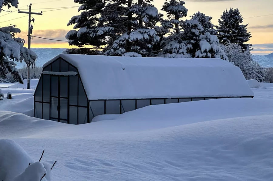 Grandio Summit 12x20 by Grandio Greenhouses