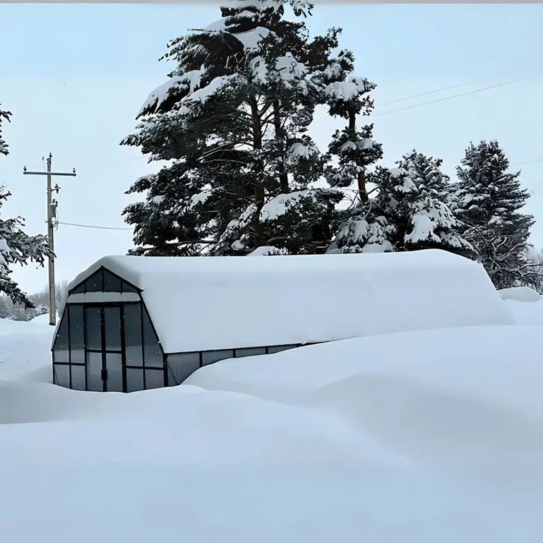 Grandio Summit 12x24 by Grandio Greenhouses