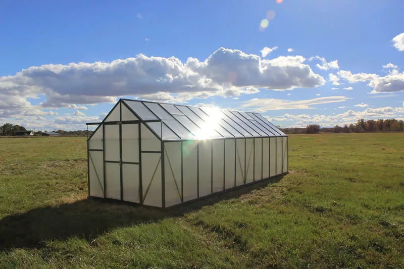 Grandio Ascent 8×24 by Grandio Greenhouses