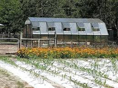 Grandio Summit 12x20 by Grandio Greenhouses