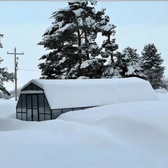 Grandio Summit 12x24 by Grandio Greenhouses
