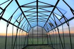Grandio Elite 8×24 by Grandio Greenhouses