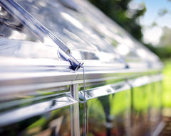 Anchor Kit for Greenhouses and Skylight/Rubicon Sheds by Palram-Canopia