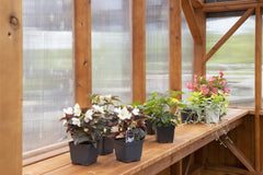 Cedar Pergola Greenhouse Kit By Atlantic Outdoors