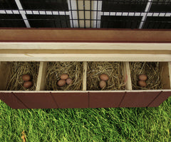 Chicken Coop Kit