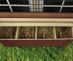 Chicken Coop Kit By EZ-FIT Sheds Animal Shelters EZ-Fit