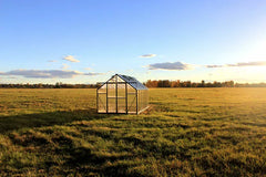 Grandio Ascent 8×16 by Grandio Greenhouses Polycarbonate Greenhouses Grandio Greenhouses
