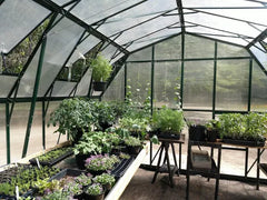 Grandio Summit 12x12 by Grandio Greenhouses Polycarbonate Greenhouses Grandio Greenhouses